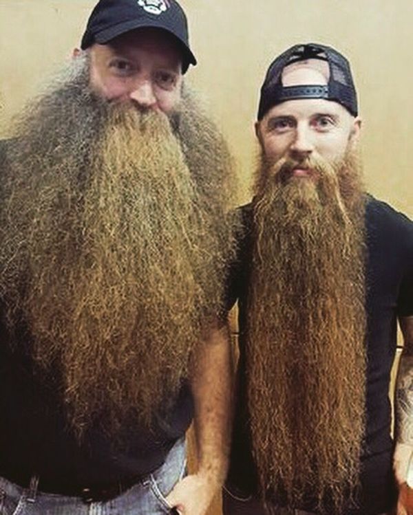 style barbe sauvage zz top
